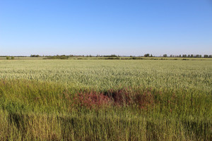 украина