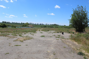 Степь,Украина