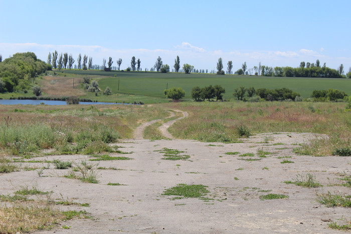 Степь,Украина