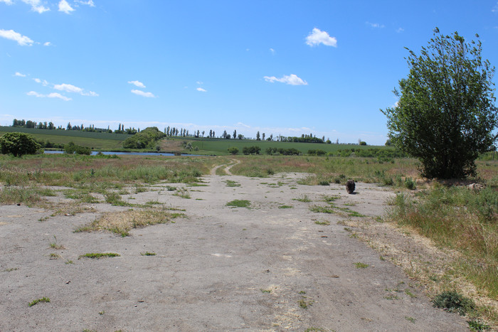 Степь,Украина