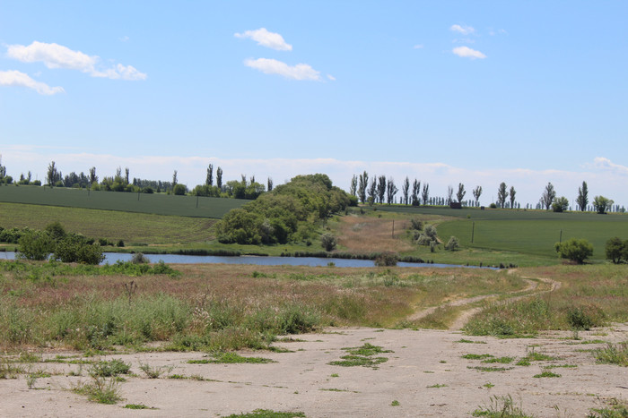 Степь,Украина